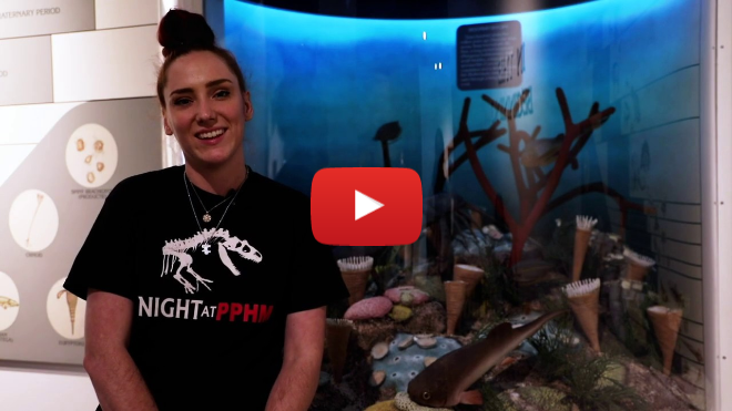 PPHM Education - Paleo Aquarium